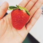 1799593_1544149445834501_1354421491_a