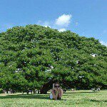 11191066_853926051368059_1475684709_a