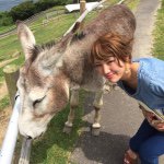 11378342_427026604136722_1295702507_a