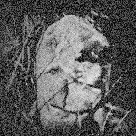 10598243_1465655667019166_628764253_a