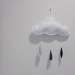 11312343_1579141912348393_56422835_a