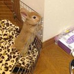 Profile_1207405918_75sq_1395665128