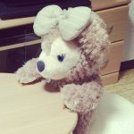 11356460_1649525658614828_1293092684_a