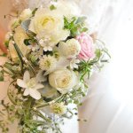 11312276_114192992245686_1148853821_a