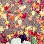 10802984_679161695531568_578581565_a