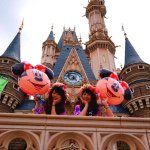 10809773_1593004867648145_832206948_a