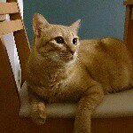 10665365_642938939157807_503260752_a