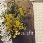 11032850_551453371662887_1789309527_a