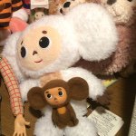 11374673_383659361835120_1075800643_a