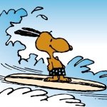 10598691_811561905535408_1412940794_a