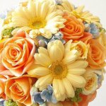 11372223_470824319760766_1881135890_a