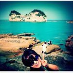 10914453_892128127485279_730947995_a