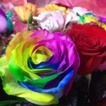 10471795_753937418001672_1993449414_a