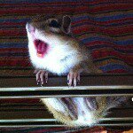 11380283_139700759695006_1829770667_a