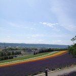 Profile_309871192_75sq_1361174912