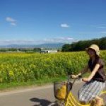 Profile_287117842_75sq_1363620695