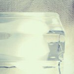 11378879_1587543511499116_1985329549_a