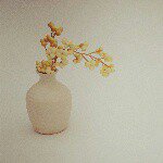 10691800_1578604895693225_1277326207_a