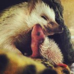 10832192_413740442115628_562124954_a