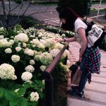 11355007_395033190704158_85662632_a