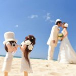 11333346_888853687849021_1334788198_a