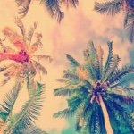 11421936_1464256910540186_855026784_a