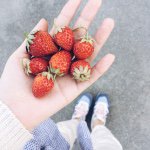 11244610_1507893199433182_464665617_a