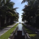 1516395_389644471220520_783670107_a