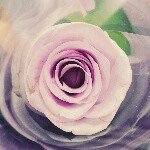 10848280_1578287062384486_2083249696_a