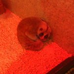 11356363_790818944347375_139296831_a