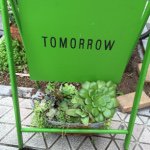 11005205_1610256869209907_884919185_a