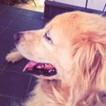 Profile_198697683_75sq_1346416109