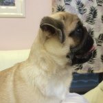 Profile_358873067_75sq_1395970568