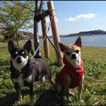 Profile_51221463_75sq_1336061860