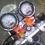 11055961_425312880978523_1774024816_a