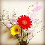 11358976_990958240929479_1584527592_a