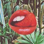 10296632_998508146849185_1485882214_a