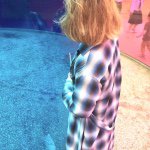 11258194_862357577146180_283223042_a