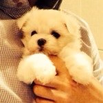 Profile_547221368_75sq_1392371178