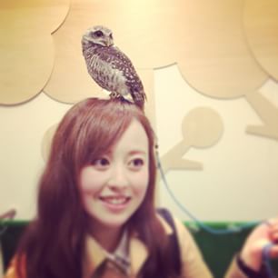 11005050_1422554058039977_1527813115_n