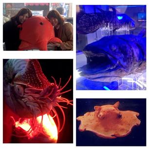 11055849_995910677100598_1119187714_n