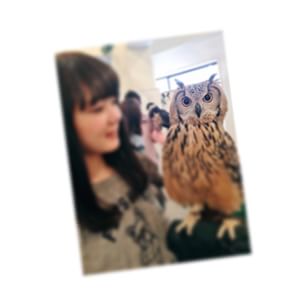 11056026_414200632087016_229962057_n