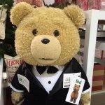 10597276_311735978997374_763541263_a