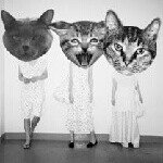 1390009_653476138055933_997825177_a