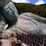 11259638_780399122078368_1129017834_a