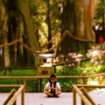 10413770_477731859025605_1616169362_a