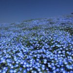 10838769_346472595538092_521187365_a