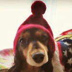 10838455_321834081352062_1955905543_a