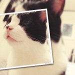 11280049_1430604350580229_1679013655_a