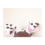 11419283_449105688602797_1262208347_a